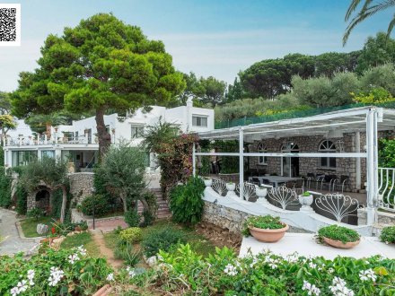 Magnfica villa surrounded by greenery with swimming pool and sea view