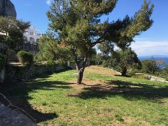 Elegante Villa a Capri con Vista Panoramica sulla Baia di Napoli 🛁 3 🛌 3 - 31