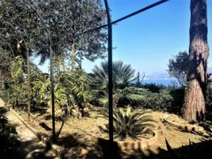 Elegante Villa a Capri con Vista Panoramica sulla Baia di Napoli 🛁 3 🛌 3 - 14