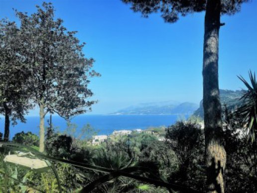 Elegante Villa a Capri con Vista Panoramica sulla Baia di Napoli 🛁 3 🛌 3 - 15