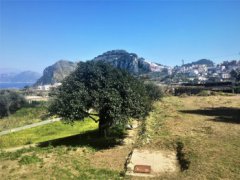 Elegante Villa a Capri con Vista Panoramica sulla Baia di Napoli 🛁 3 🛌 3 - 11