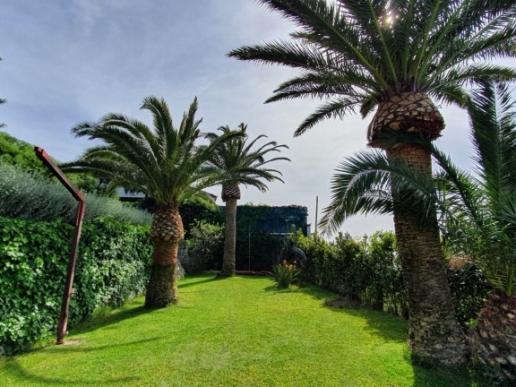 Charming villa surrounded by greenery in Ischia - 4