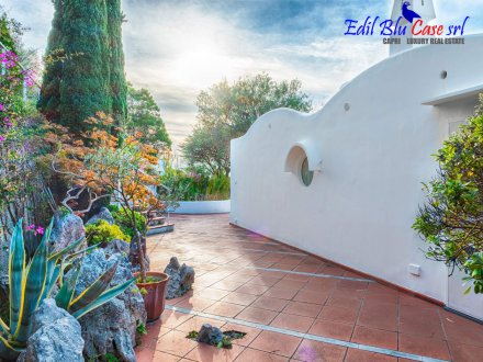 Romantic villa surrounded by greenery a few steps from the city center 🛁 4 🛌 3