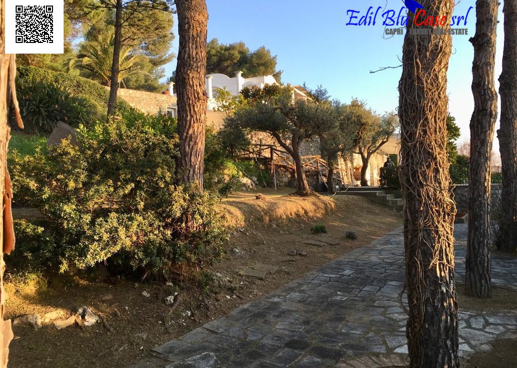 Sale Independent Cottages Anacapri - The House of Sunsets Locality 